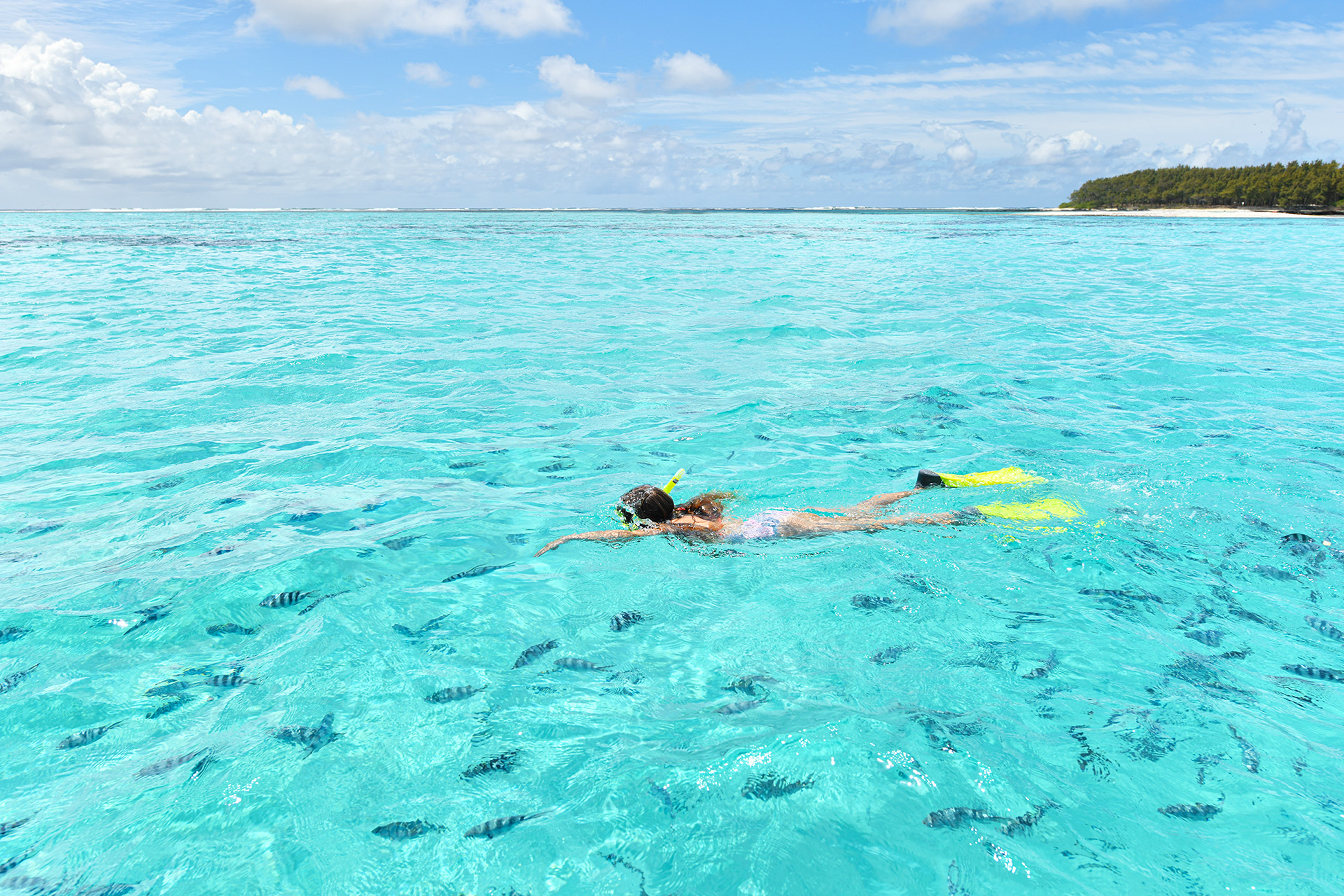 Mauritius Social and Environmental Sustainability, Snokelling